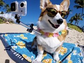 A OpenAI apresenta o Sora, que oferece texto fotorrealista para geração de vídeo (Fonte: OpenAI)