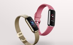 O Fitbit Luxe agora suporta uma medição de AoD e SpO2. (Fonte de imagem: Fitbit)