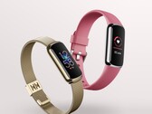 O Fitbit Luxe agora suporta uma medição de AoD e SpO2. (Fonte de imagem: Fitbit)
