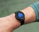 Os smartwatches Venu 3 e vivoactive 5 (foto) da Garmin estão recebendo a versão beta 15.05. (Fonte da imagem: Garmin)