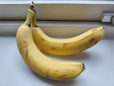 Gravação com a câmera principal