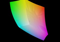 Erazer Beast 16 X1 vs sRGB