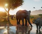 Planet Zoo 2 será lançado em 13 de outubro e já está entre os jogos de maior faturamento do Steam antes do lançamento.