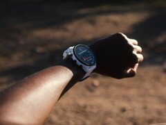 O Garmin Forerunner 955 recebeu a atualização Public Beta Version 16.09. (Fonte da imagem: Garmin)