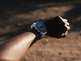O Garmin Forerunner 955 recebeu a atualização Public Beta Version 16.09. (Fonte da imagem: Garmin)