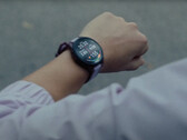 A série Forerunner 165 vem em duas variantes e um total de seis SKUs. (Fonte da imagem: Garmin)