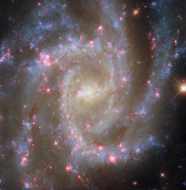 A imagem POTW da NGC 2835 (Fonte da imagem: ESA, NASA, R. Chandar, J. Lee e a equipe do PHANGS-HST)