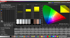 CalMAN ColorChecker (espaço de cor alvo P3)