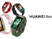 A Huawei Band 7 estará disponível em quatro cores, todas com uma caixa mais fina e leve que a Band 6. (Fonte de imagem: Huawei)