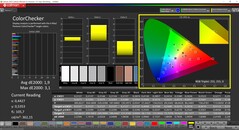 CalMAN ColorChecker (perfil: nativo, espaço de cor alvo: P3)