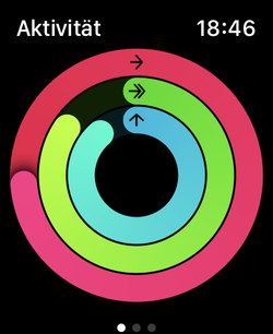 Três anéis de atividade para movimentos (vermelho), treinamentos (verde), e de pé (azul).