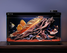 The Fish Tank 1 Ultra. (Fonte da imagem: Dangbei)