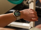 O Fenix 8 é um dos vários smartwatches na fila para uma atualização estável v17.xx. (Fonte da imagem: Garmin)