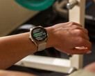 O Fenix 8 é um dos vários smartwatches na fila para uma atualização estável v17.xx. (Fonte da imagem: Garmin)