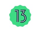 Android 13 estará aqui em breve. (Fonte: Google)