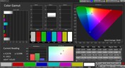 CalMAN color space sRGB - display externo