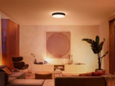 O Philips Hue Bridge agora é compatível com as próximas cenas All-day. (Fonte da imagem: Philips Hue)