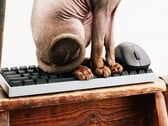 A Wallhack está entrando no mercado de teclados e mouses para jogos.