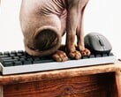 A Wallhack está entrando no mercado de teclados e mouses para jogos.