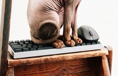 A Wallhack está entrando no mercado de teclados e mouses para jogos.