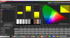 CalMAN ColorChecker calibrado