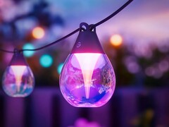 Chegou uma versão de 30 m (96 pés) de comprimento da Govee Outdoor Clear Bulb String Lights. (Fonte da imagem: Govee)
