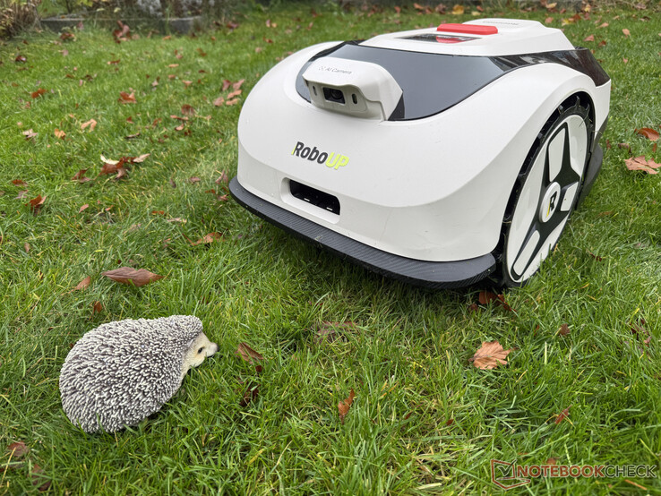 O Raccoon 2 SE nem sempre reconheceu nosso boneco de ouriço no teste