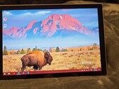 O Microsoft Surface Pro 8 provavelmente terá um design externo inalterado (Fonte de imagem: Reddit)