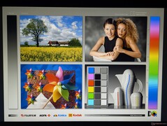 Amplos ângulos de visão IPS