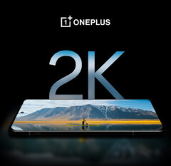 Dizem que o OnePlus 12 tem a melhor tela de smartphone do mercado, pelo menos de acordo com a OnePlus. (Fonte da imagem: OnePlus)