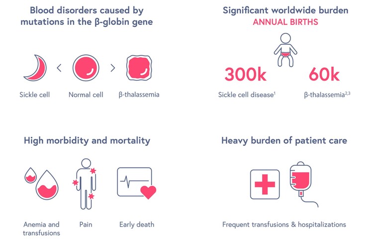 Visão geral da doença falciforme. (Fonte: CRISPR Therapeutics)