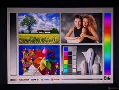 Amplos ângulos de visão do OLED
