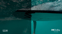 Alguns ventiladores Vimeo podem agora ter acesso a esta atualização. (Fonte: Vimeo)