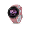 (Fonte da imagem: Garmin via Gadgets para usar)