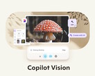 O Microsoft Copilot Vision no Windows com Highlights permite que a IA do Copilot veja e interaja com informações e aplicativos visíveis. (Fonte da imagem: Microsoft)