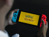 O Nintendo Switch e o Switch Lite não têm nenhuma versão mais vendida da família Nintendo 3DS. (Fonte da imagem: Andrew Te)