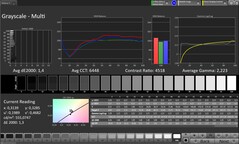 Escala de cinza (perfil: Professional, espaço de cor de destino: sRGB)