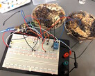 Duas células de memória em forma de cogumelo foram conectadas a uma placa de desenvolvimento do microcontrolador Arduino UNO para teste. (Fonte da imagem: LaRocco, J. et al. via PLOS One)