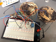 Duas células de memória em forma de cogumelo foram conectadas a uma placa de desenvolvimento do microcontrolador Arduino UNO para teste. (Fonte da imagem: LaRocco, J. et al. via PLOS One)