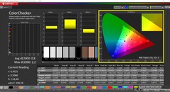 CalMAN ColorChecker (perfil: sRGB, espaço de cor de destino sRGB)