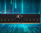 A nova RAM Elite U-DIMM DDR5. (Fonte: TeamGroup)