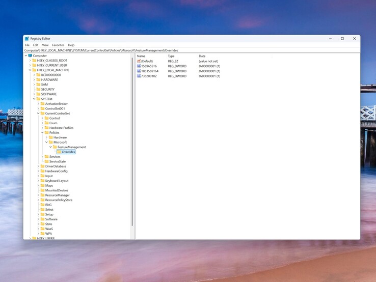 Esta é a aparência do caminho do registro correspondente depois de adicionar as três entradas.