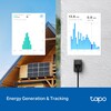 O TP-Link Tapo P410M Smart Wi-Fi Outdoor Plug pode monitorar o uso de energia. (Fonte da imagem: Tapo)