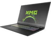 Schenker XMG Pro 17 com revisão RTX 3080 (Clevo PC70HS): Um laptop de jogo ultra-fino e estação de trabalho em um