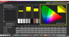 CalMAN ColorChecker (espaço de cor alvo P3)