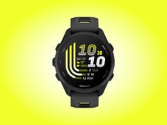O Forerunner 170 recebeu agora sua segunda atualização beta.