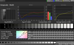 CalMAN Grayscale (Escala de cinza)