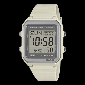 O Casio W-221H-8A.