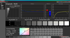 Escala de cinza após calibratrion