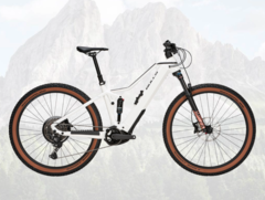 A e-bike Bulls Sonic Eva TR 1 29 2024 tem um motor Bosch Performance Line CX. (Fonte da imagem: Bulls)